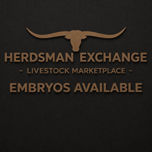 Jammin Tex x LTL Sheza Outside Kat Embryo