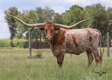 RM CADILLAC HOPES 886